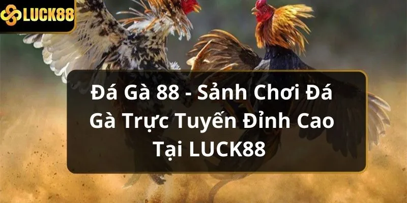 Da-ga-88-sanh-choi-da-ga-truc-tuyen-dinh-cao-tai-LUCK88